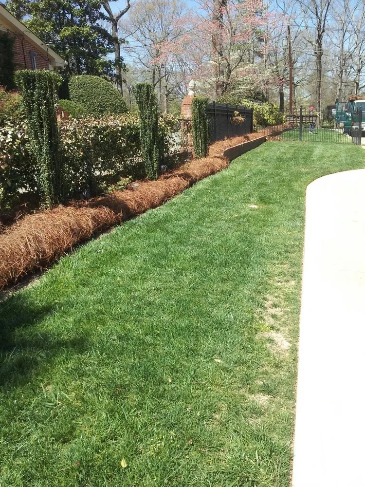 Trusted yard cleanup service experts serving Wellford, SC - Express Pineneedles