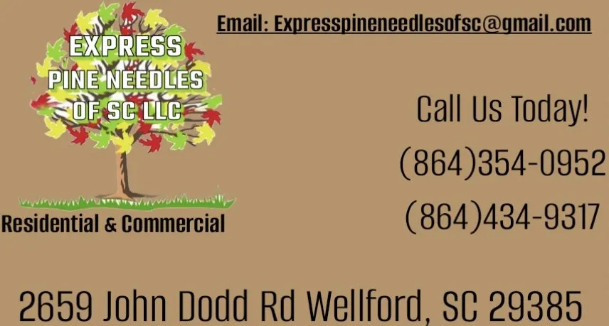 Local yard cleanup service experts serving Wellford, SC - Express Pineneedles