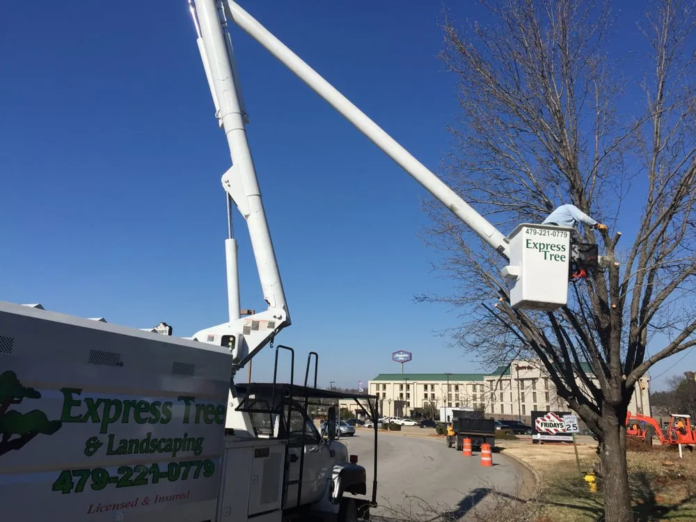 Expert garden landscaping for homes across Fort Smith, AR - Express Tree & Landscaping Service