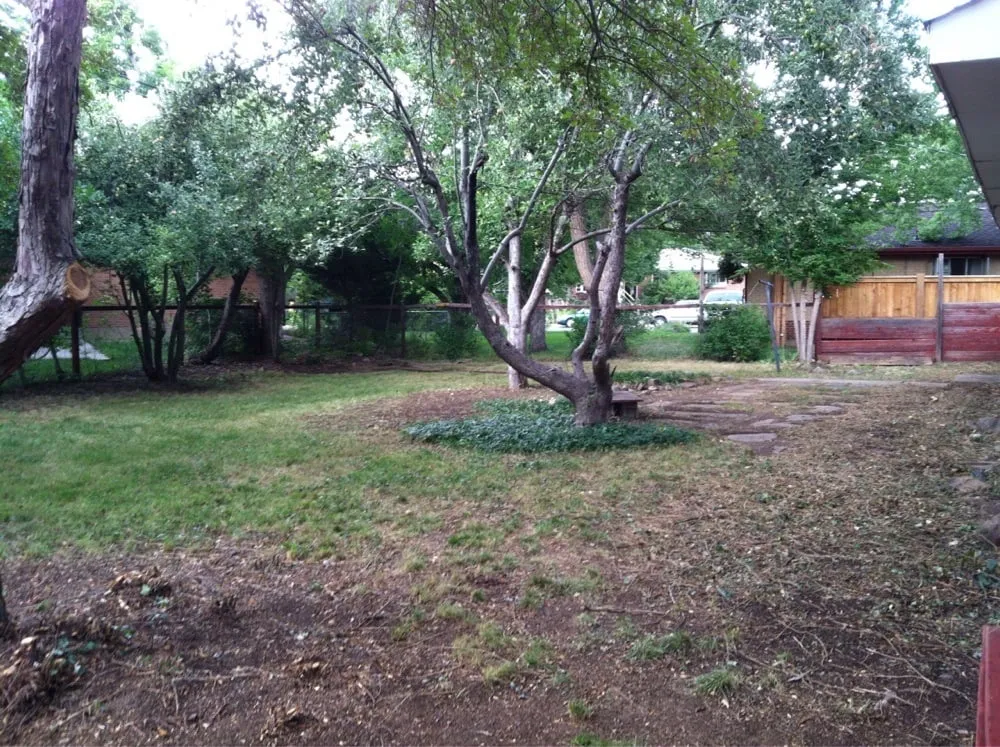 Reliable landscape design in Boulder, CO by Express Tree Service and Landscaping