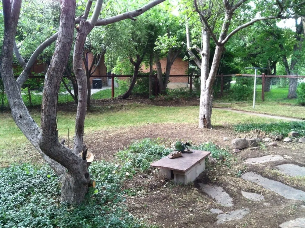 Professional landscape installation in Boulder, CO - Express Tree Service and Landscaping