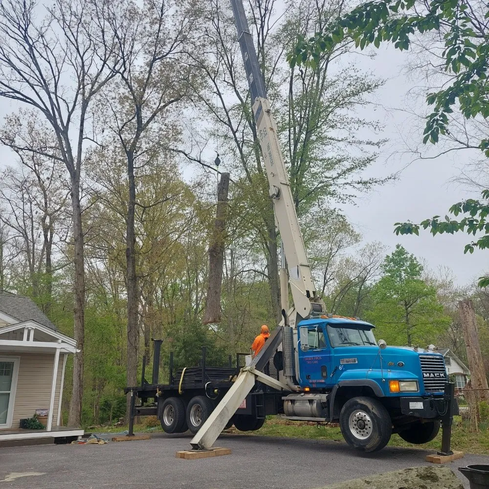 Local landscape installation for year-round maintenance in Brooklyn, MD by Express Tree Service