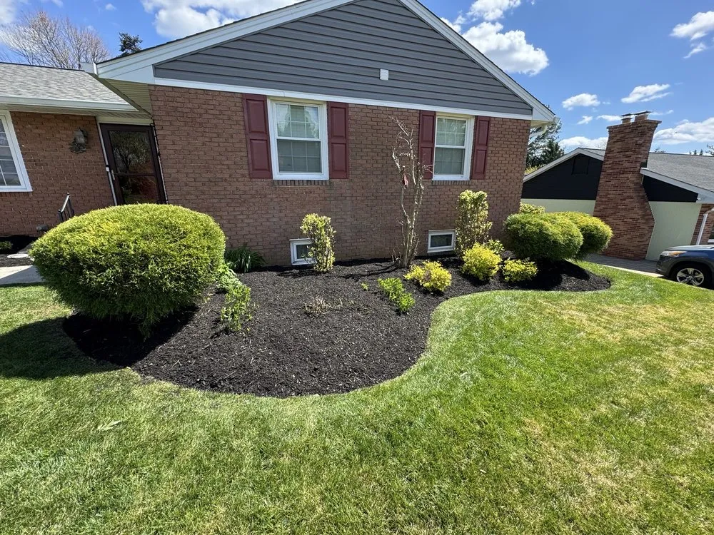 Affordable yard maintenance in Brooklyn, MD by Express Tree Service