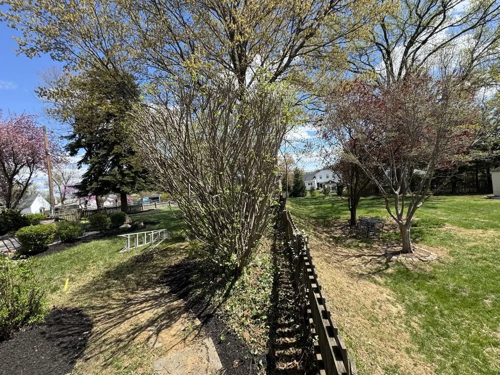Expert landscaping services in Brooklyn, MD - Express Tree Service