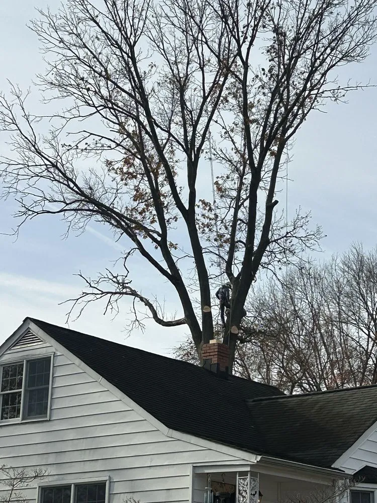 Custom residential landscaping experts serving Brooklyn, MD - Express Tree Service