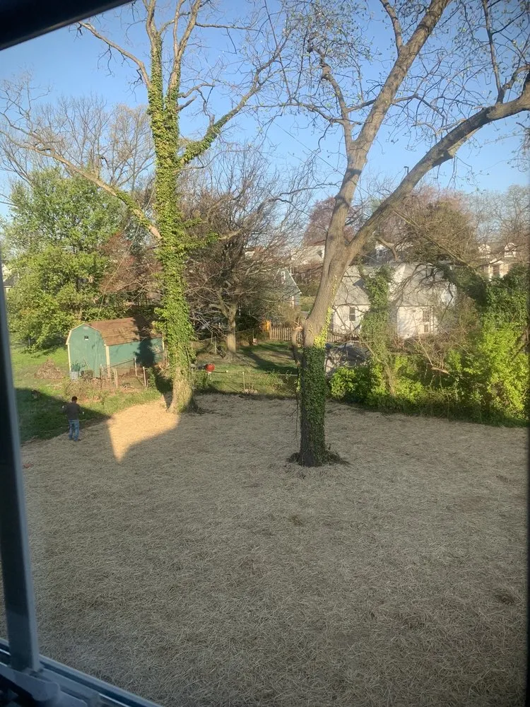 Expert lawn mowing service in Brooklyn, MD by Express Tree Service
