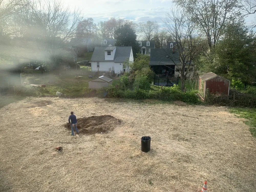 Top-rated garden landscaping for residential properties across Brooklyn, MD - Express Tree Service