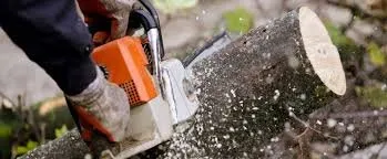 Top-rated residential landscaping in Brooklyn, MD - Express Tree Service
