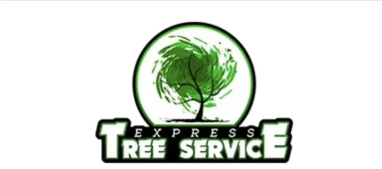 Affordable yard maintenance for outdoor upgrades in Brooklyn, MD by Express Tree Service