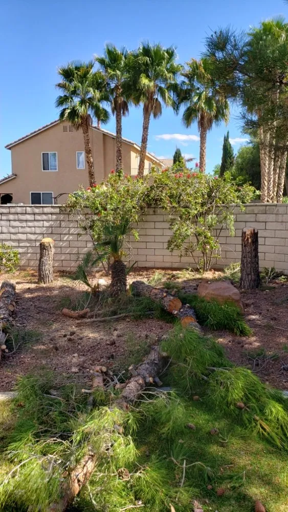 Expert garden landscaping experts serving Las Vegas, NV - Express Tree Service