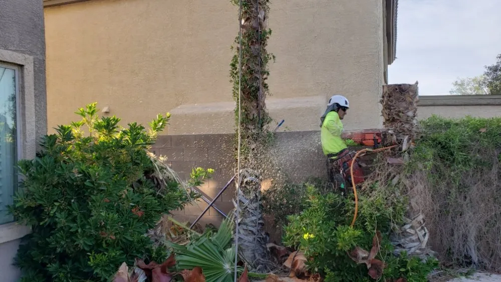 Custom landscape design for beautiful yards in Las Vegas, NV by Express Tree Service