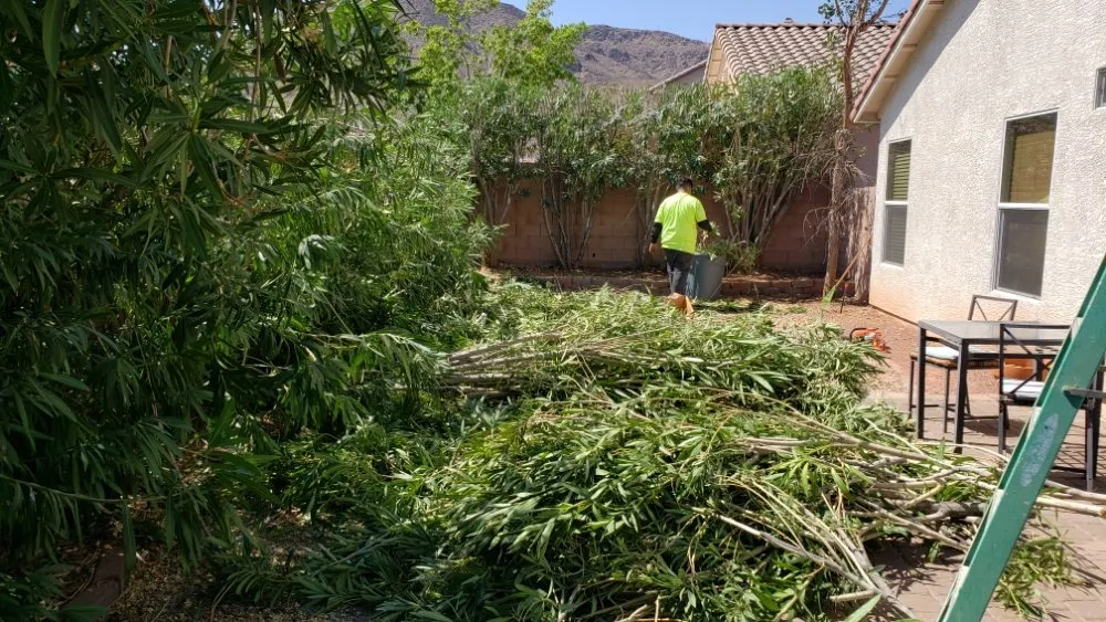 Top-rated garden landscaping for beautiful yards in Las Vegas, NV by Express Tree Service