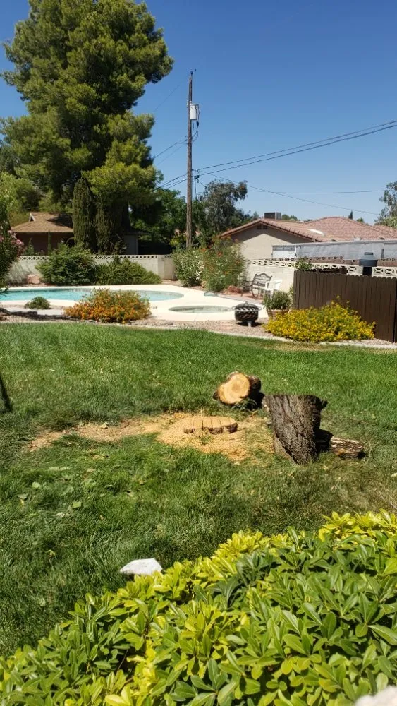 Reliable residential landscaping in Las Vegas, NV - Express Tree Service