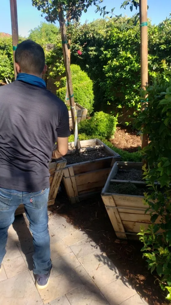 Trusted outdoor landscaping experts serving Las Vegas, NV - Express Tree Service