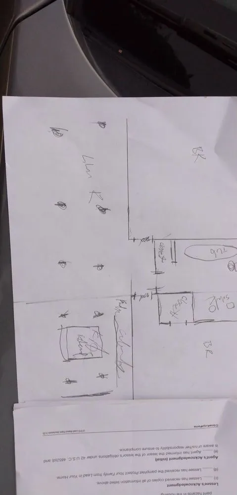 Expert landscaping services in Saint Petersburg, FL by Exquisite Design and Property Maintenance