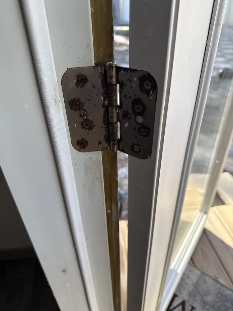 Custom landscaping services for beautiful yards across Saint Petersburg, FL - Exquisite Design and Property Maintenance