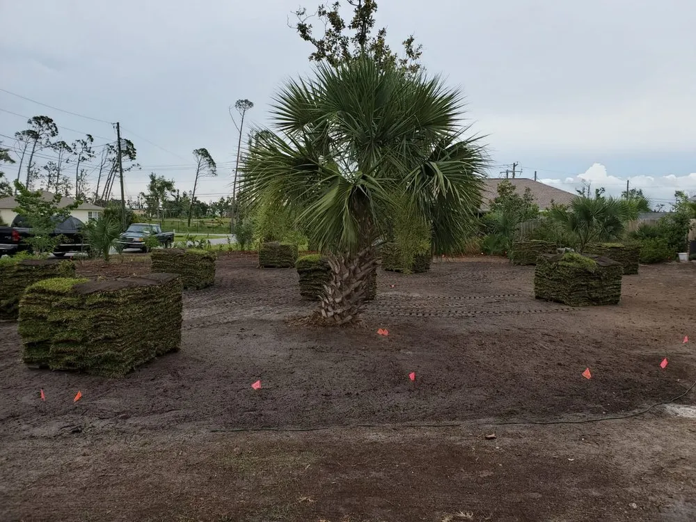 Local landscaping services in West Palm Beach, FL - Exquisite Installation Solutions