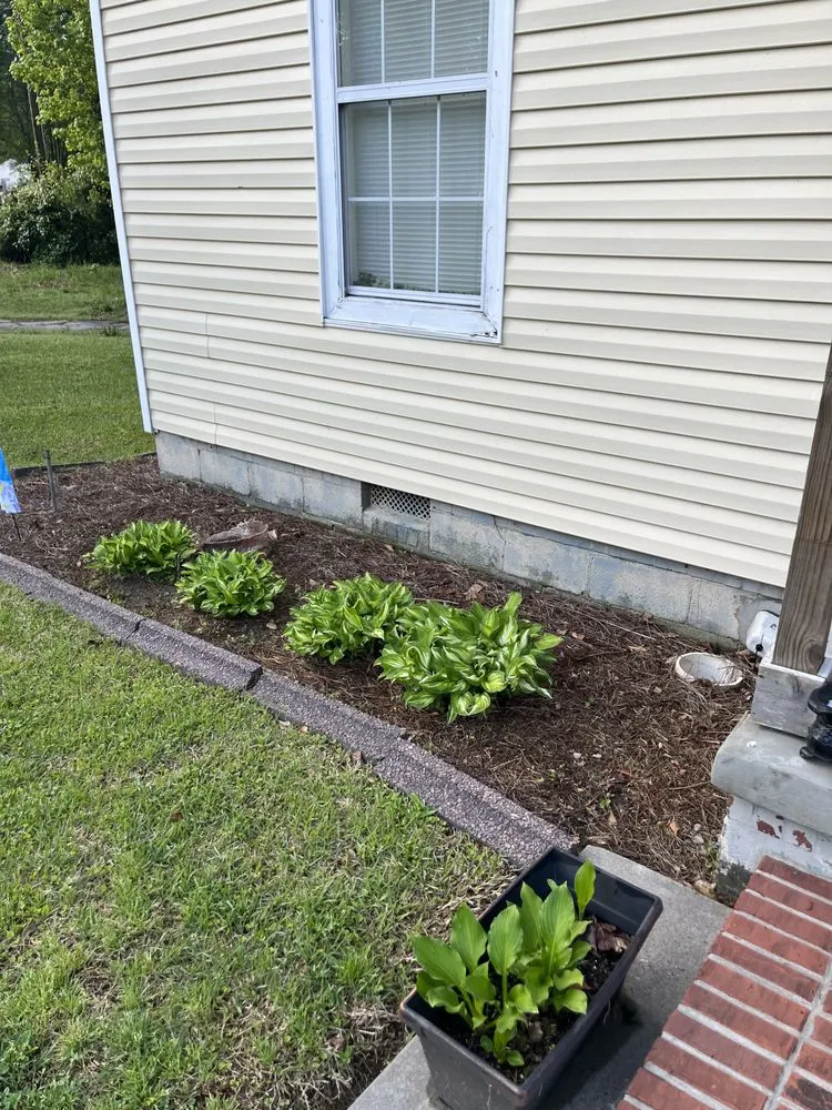 Expert yard cleanup service experts serving Ellenwood, GA - Exquisite Landscaping