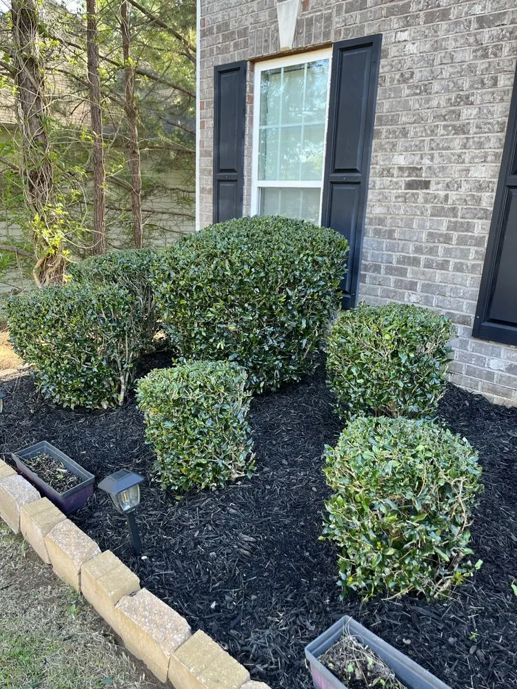 Reliable landscape design experts serving Ellenwood, GA - Exquisite Landscaping