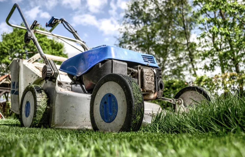 Top-rated garden landscaping in Ellenwood, GA by Exquisite Landscaping