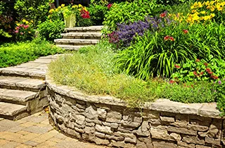 Local yard cleanup service for residential properties in Hampton, VA by Exquisite Landscaping