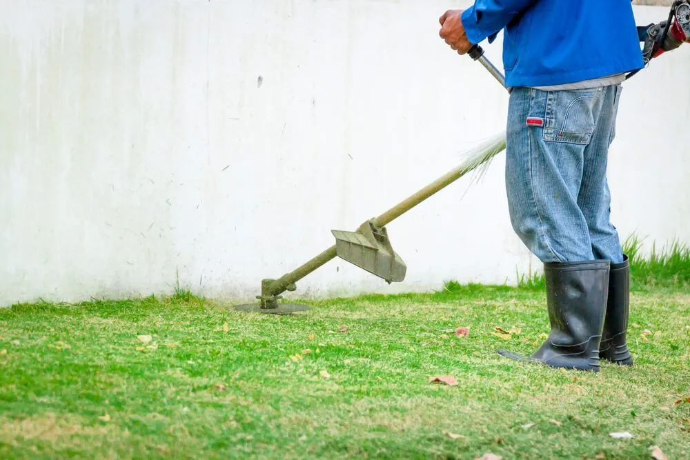 Reliable lawn mowing service in Hampton, VA - Exquisite Landscaping