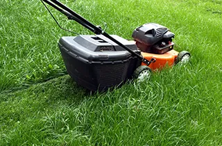 Expert landscape installation with custom design across Hampton, VA - Exquisite Landscaping