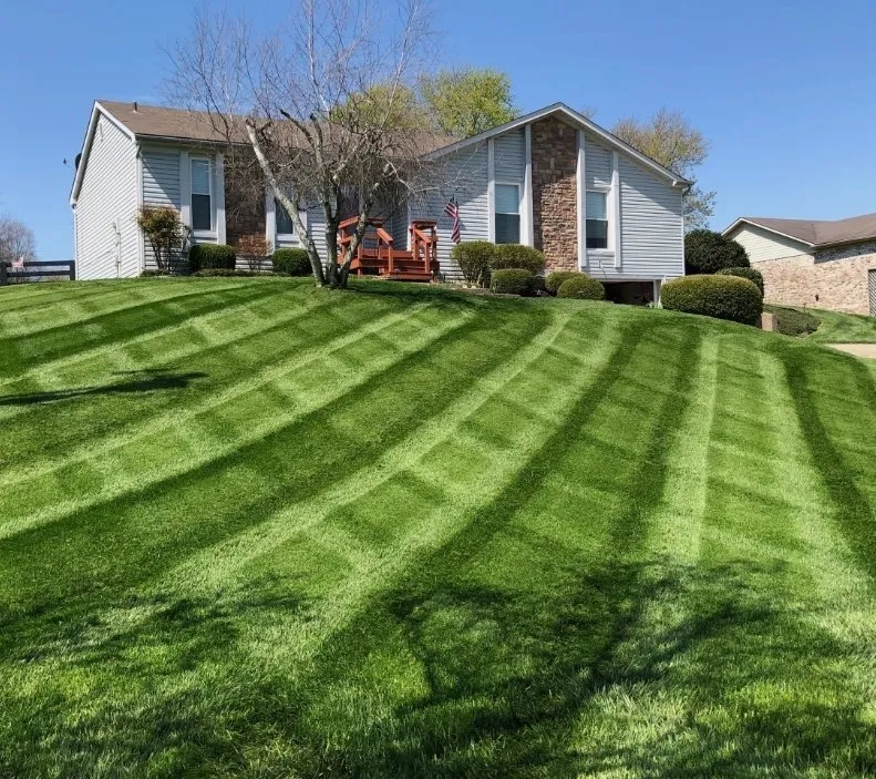 Reliable landscaping services in Highland Springs, VA - Exquisite Lawn Care Services & Auto Beautification