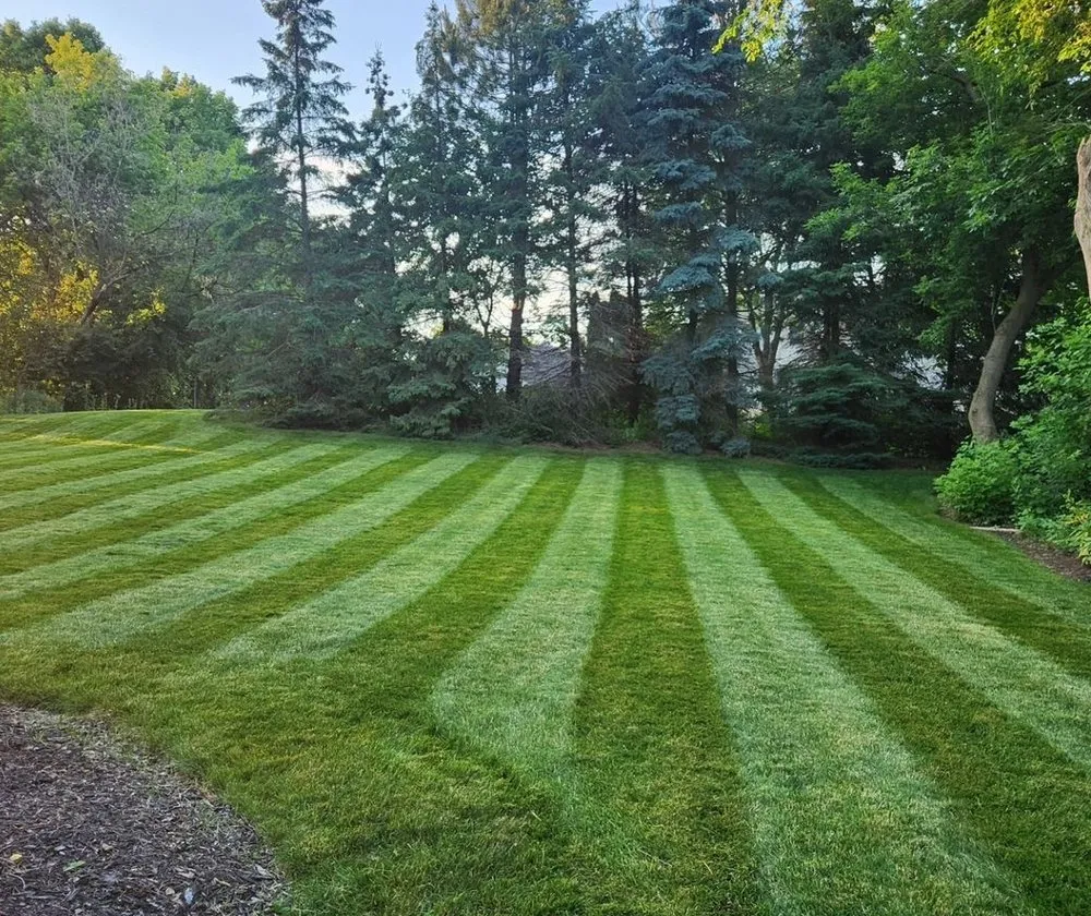 Local lawn care service in Highland Springs, VA - Exquisite Lawn Care Services & Auto Beautification