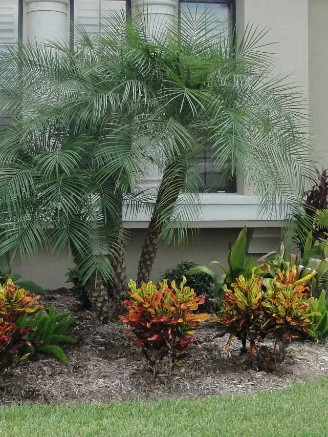 Local outdoor landscaping for beautiful yards in Palm Bay, FL by Exquisite Lawn Maintenance