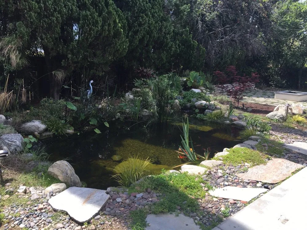 Trusted landscaping services with custom design in Upland, CA by Exquisite Ponds and Gardens
