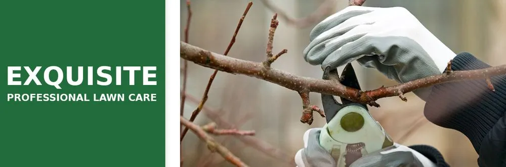 Expert residential landscaping in College Park, GA - Exquisite Professional Lawn Care