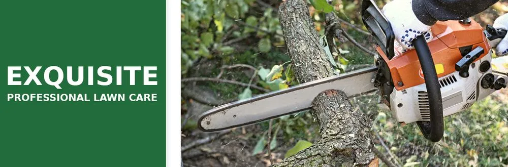 Expert landscape installation in College Park, GA by Exquisite Professional Lawn Care