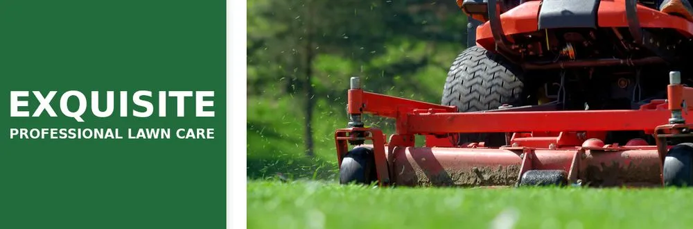 Trusted garden landscaping experts serving College Park, GA - Exquisite Professional Lawn Care