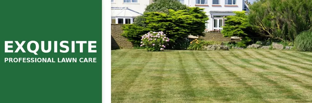 Expert lawn mowing service experts serving College Park, GA - Exquisite Professional Lawn Care