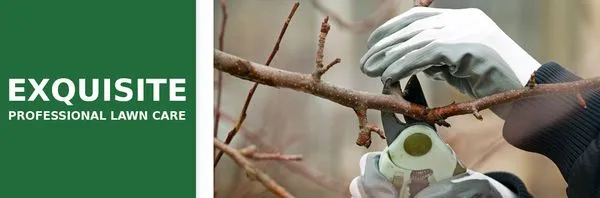 Exquisite Professional Lawn Care Logo
