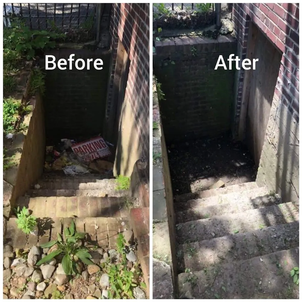 Reliable yard maintenance in Newark, NJ by Exquisite Property Services Corporation