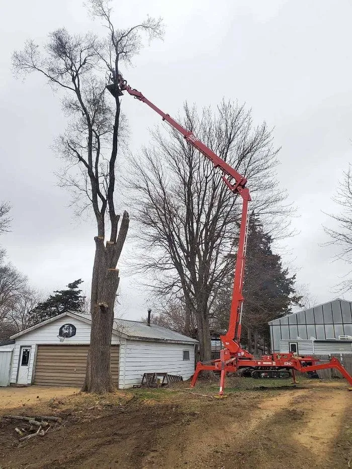 Affordable lawn mowing service in Elizabeth, IL - Exquisite Tree