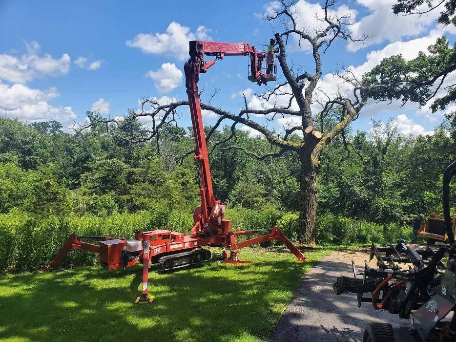 Trusted lawn care service in Elizabeth, IL - Exquisite Tree