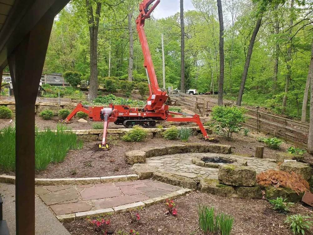 Reliable yard cleanup service for beautiful yards across Elizabeth, IL - Exquisite Tree