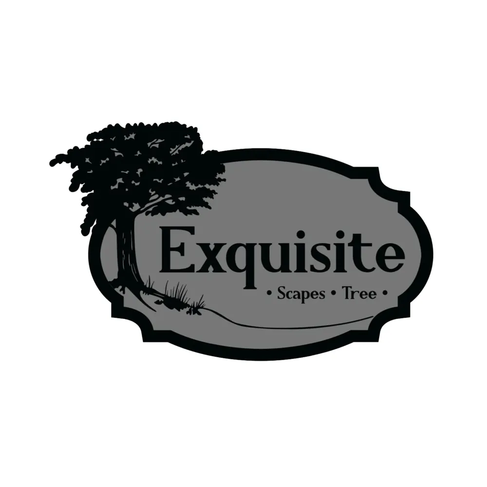Trusted landscape design in Elizabeth, IL - Exquisite Tree