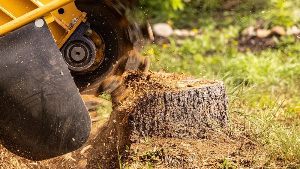 Expert landscaping services for beautiful yards across Elizabeth, IL - Exquisite Tree