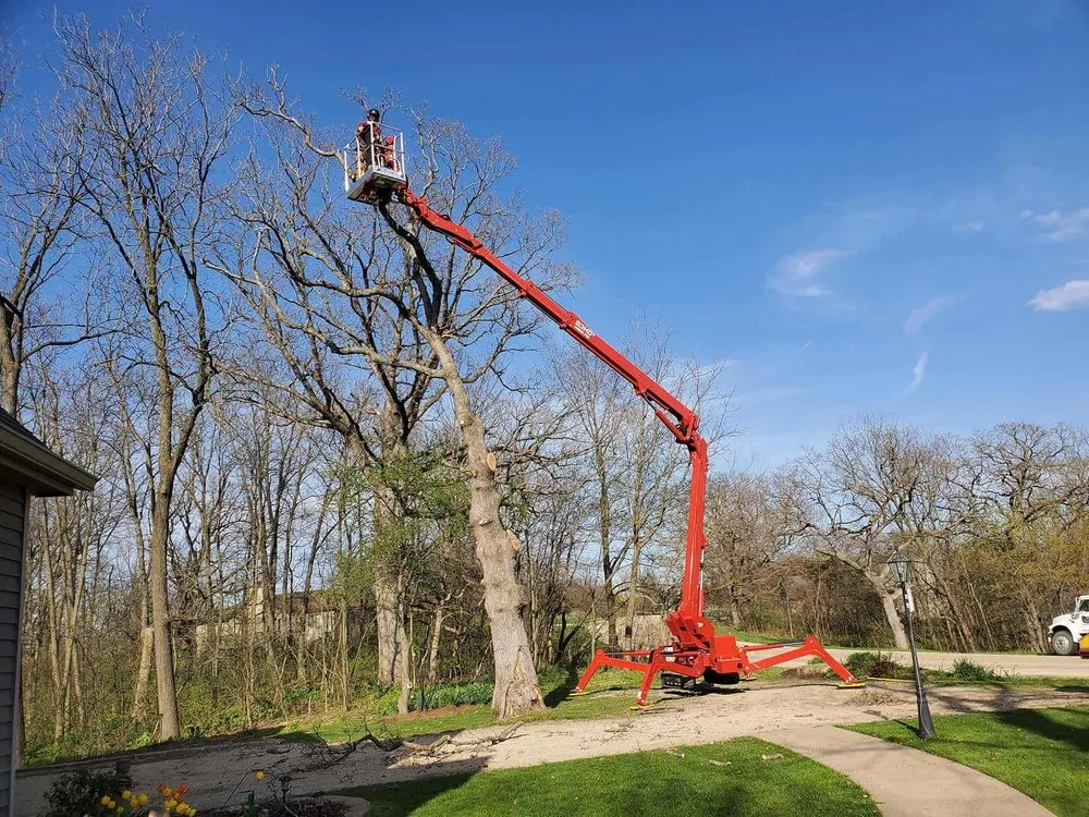 Affordable lawn mowing service in Elizabeth, IL by Exquisite Tree