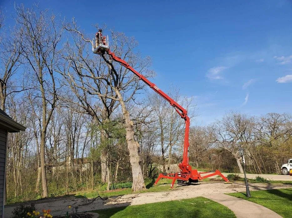 Expert landscape design in Elizabeth, IL by Exquisite Tree