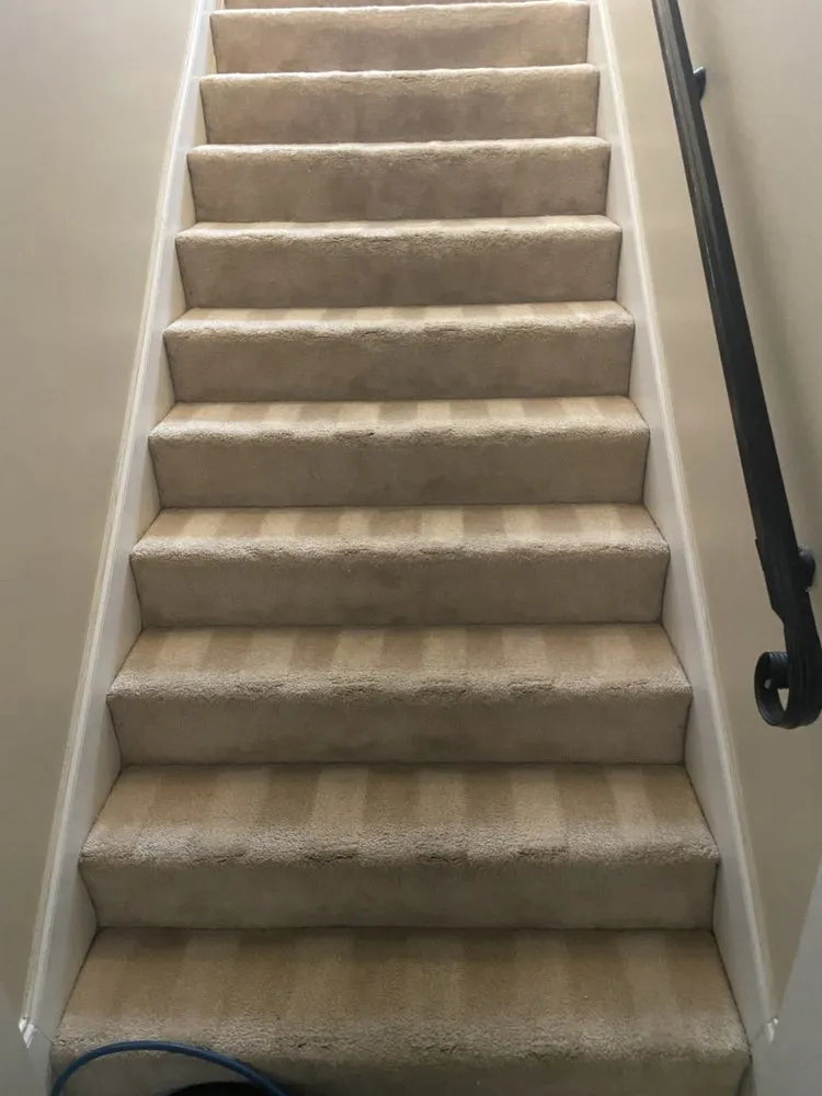 Top-rated yard cleanup service in Goodman, MS - Exquisite Visions