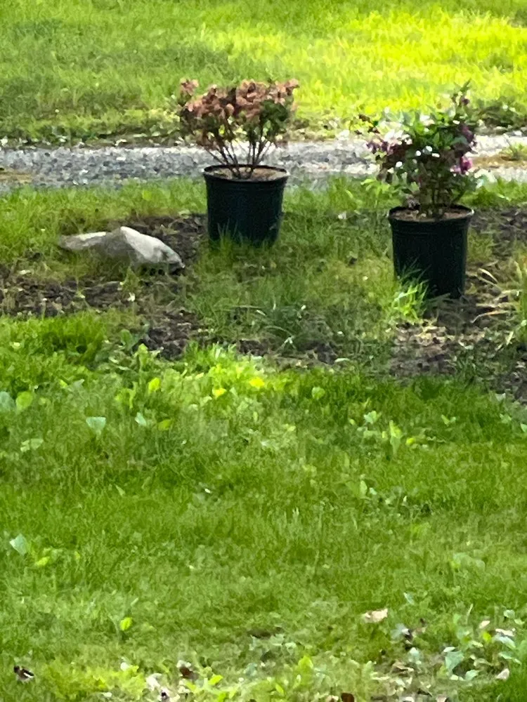 Expert yard cleanup service for residential properties across Oxford, PA - Exquisite Xteriors