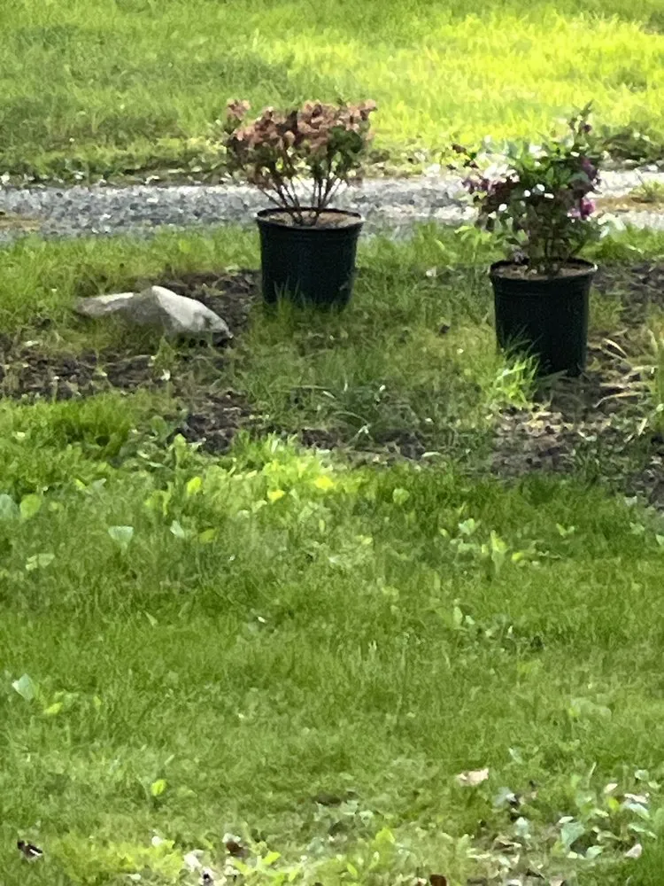 Expert lawn mowing service experts serving Oxford, PA - Exquisite Xteriors