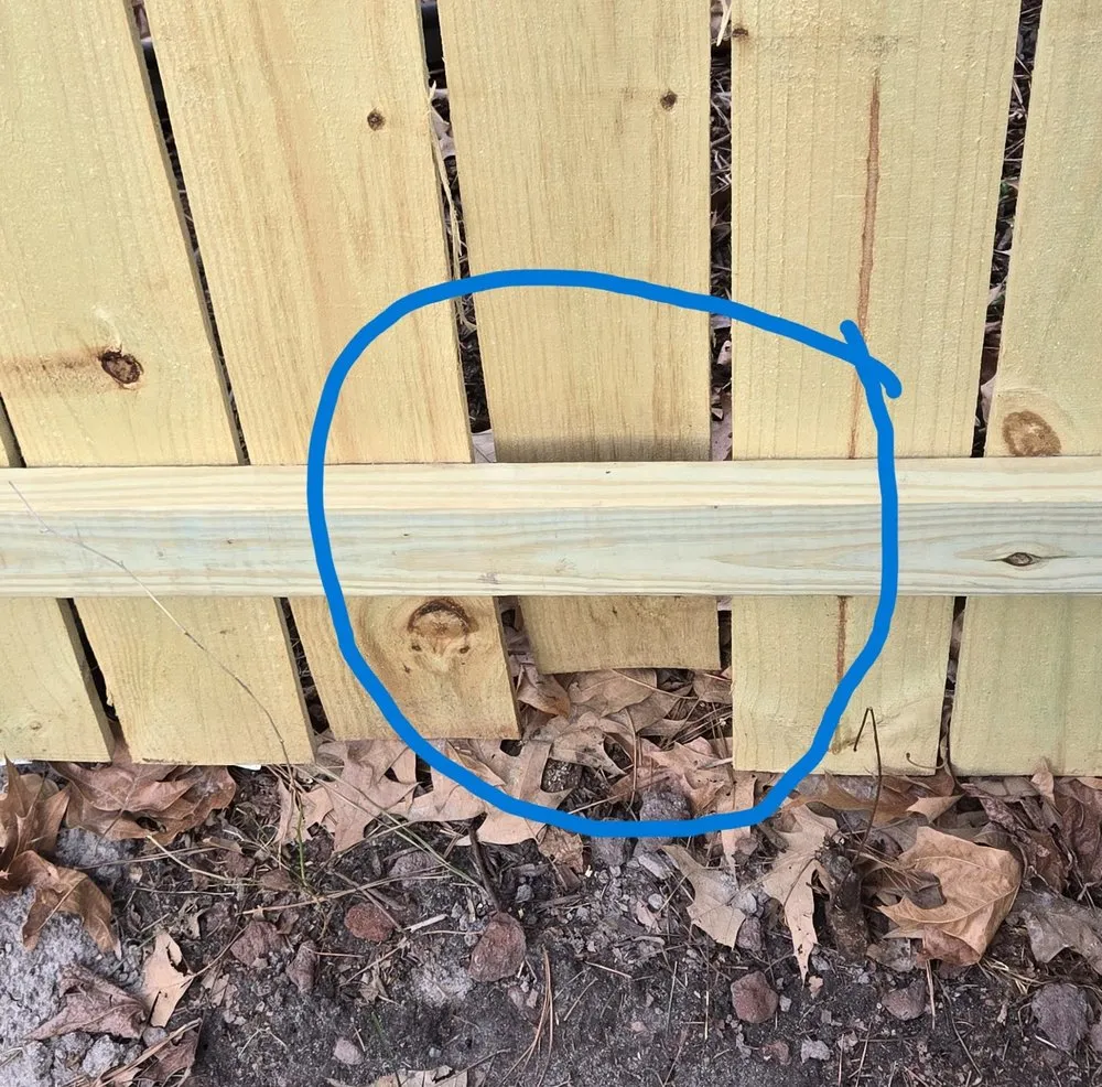 Professional landscape installation for year-round maintenance in Virginia Beach, VA by Exscapes