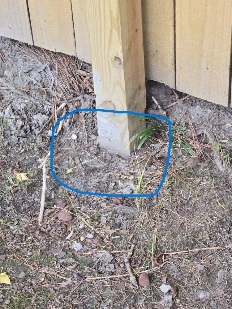 Local yard maintenance in Virginia Beach, VA - Exscapes