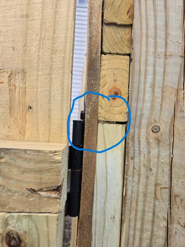 Reliable yard maintenance experts serving Virginia Beach, VA - Exscapes